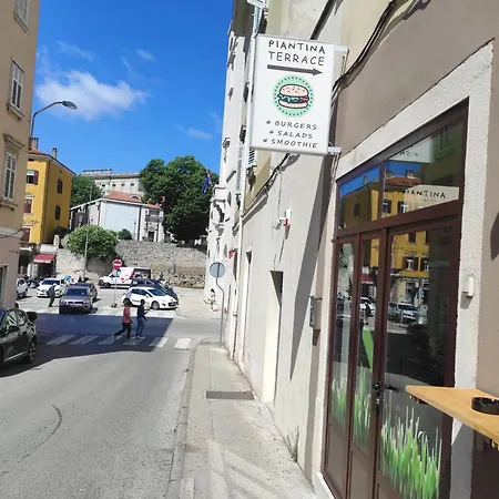Papavero Pula