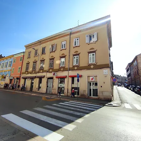 Papavero Pula