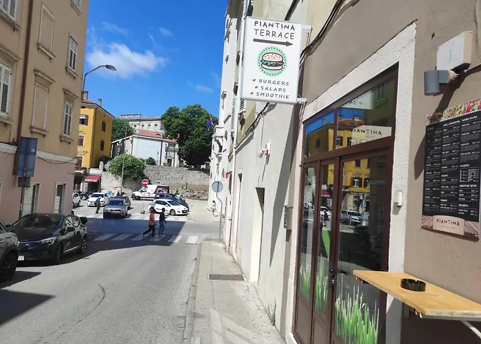 Papavero Pula